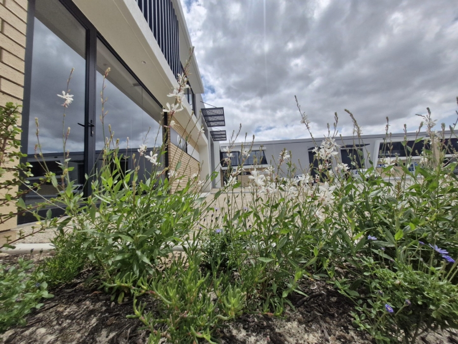 To Let commercial Property for Rent in Stikland Industrial Western Cape